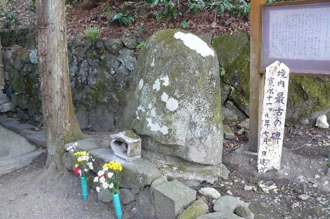 �O����s����