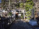 諏訪神社参道沿いに設けられた鳥居と石燈篭群