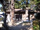 宇那禰神社神社山門とその前に生える杉の大木