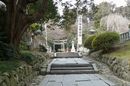 塩釜神社参道両側の石垣と大木