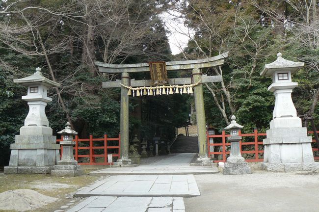 �����_��