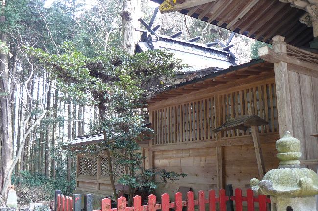 �������Ћ{