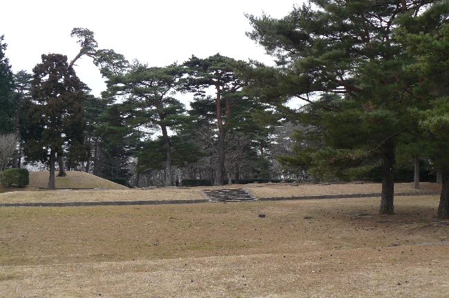 �����p��