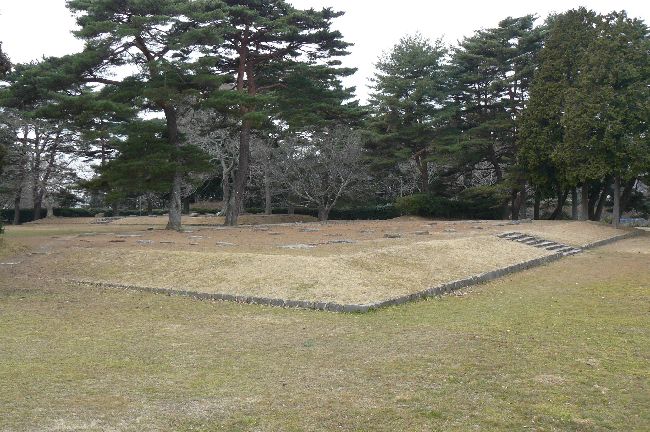 �����p��