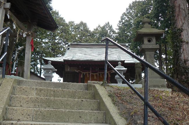 �����_��