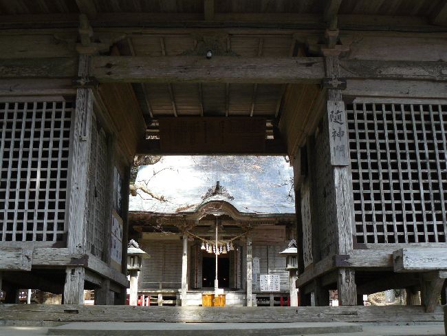 ��������_��