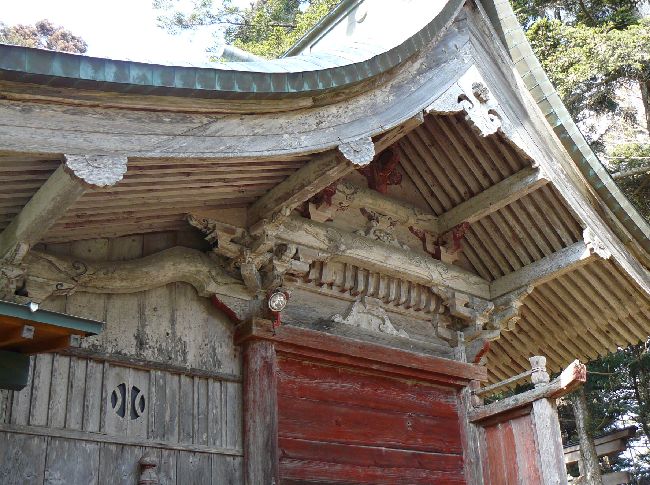 ��������_��