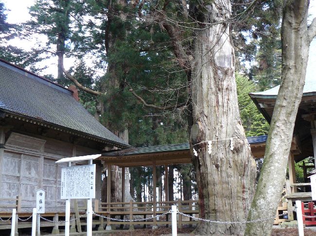 ��������_��