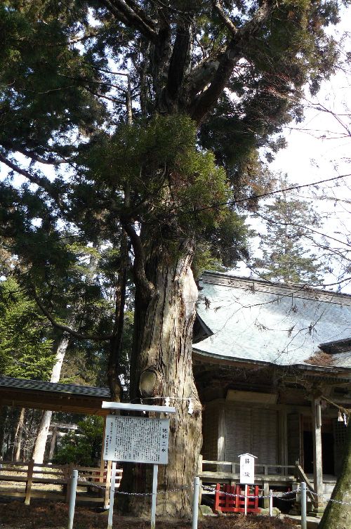 ��������_��