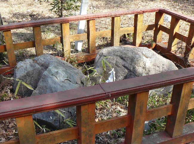 ��������_��