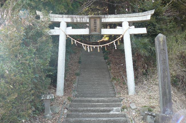 �����͔��_��