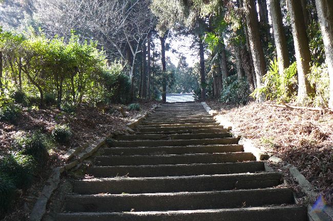 �����͔��_��