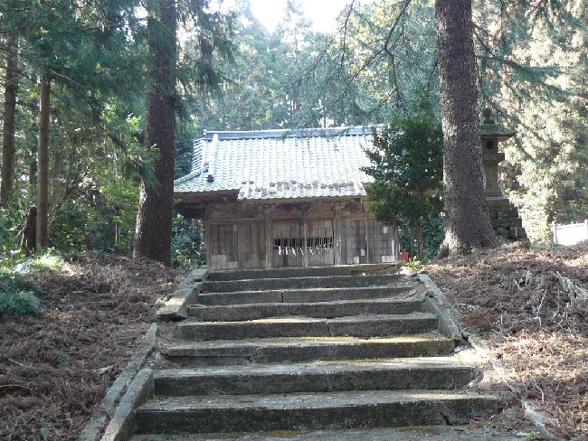 �����͔��_��