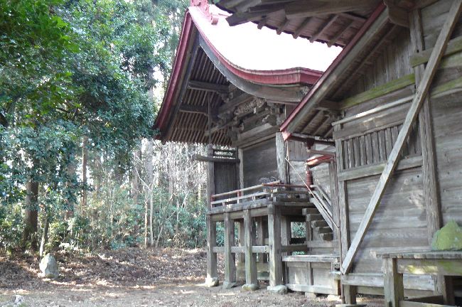 �����͔��_��