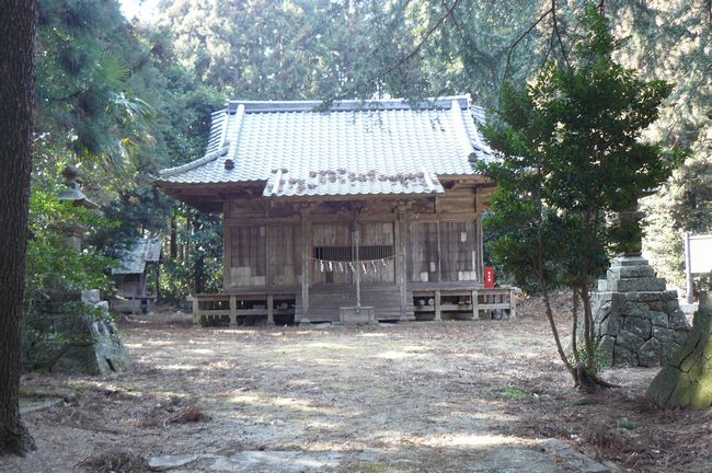 �����͔��_��