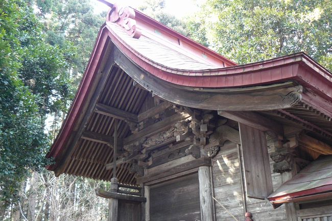 �����͔��_��