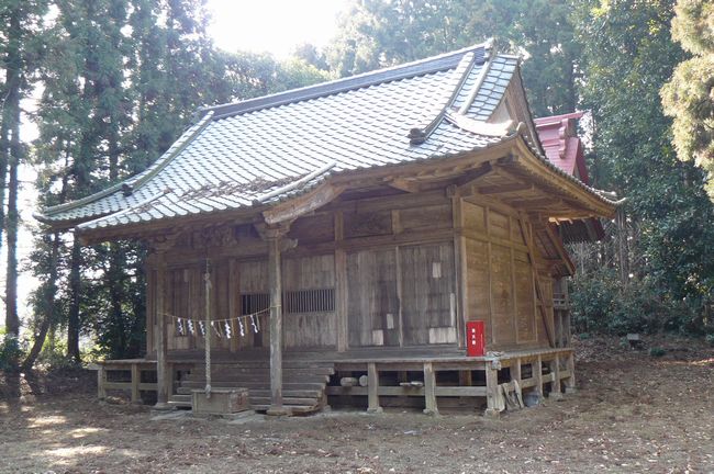 �����͔��_��