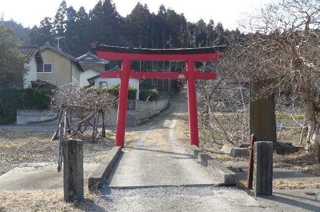 �����������_��