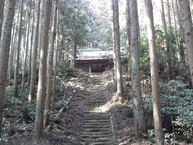 �����������_��