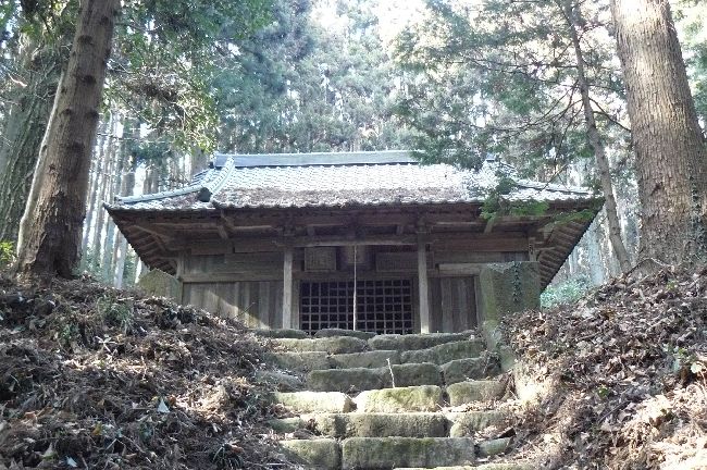 �����������_��