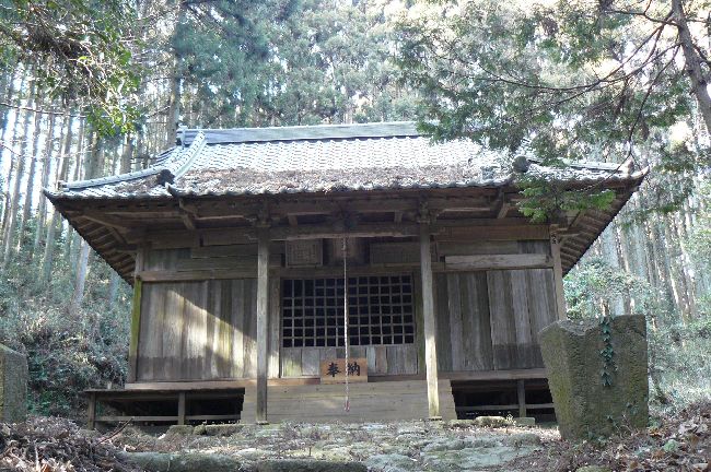 �����������_��