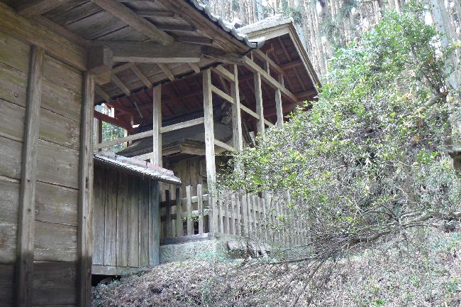 �����������_��