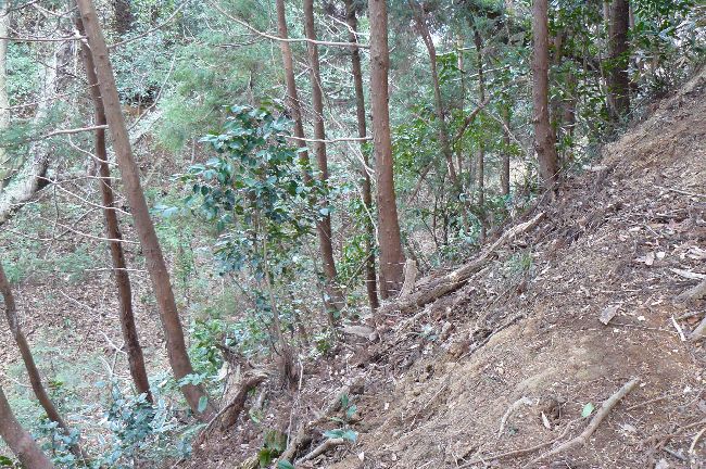 �⌳�v�Q�i�����j