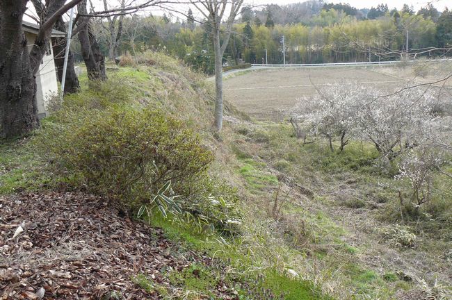 �⌳�v�Q�i�����j