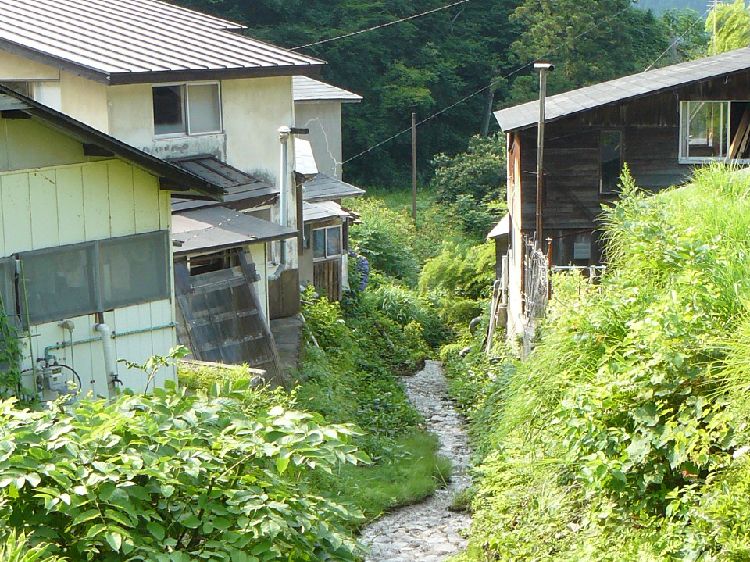 �q����E����X�i�{�錧���s�j