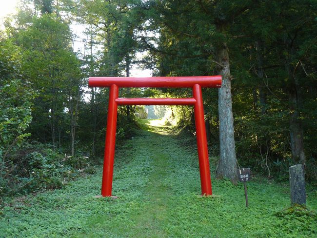 �����_��