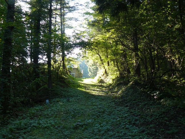 �����_��