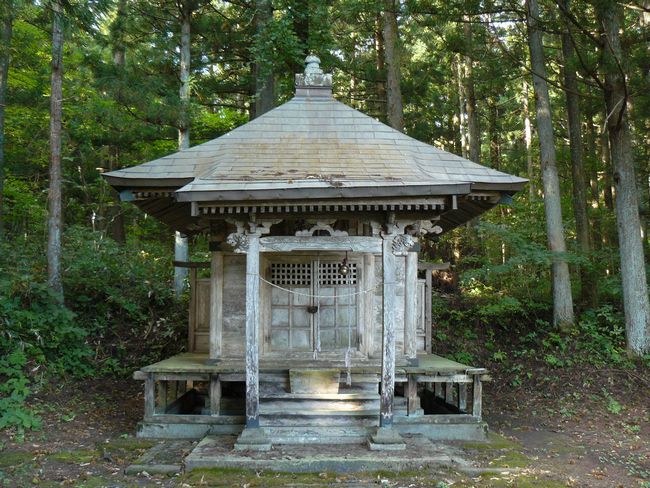 �����_��