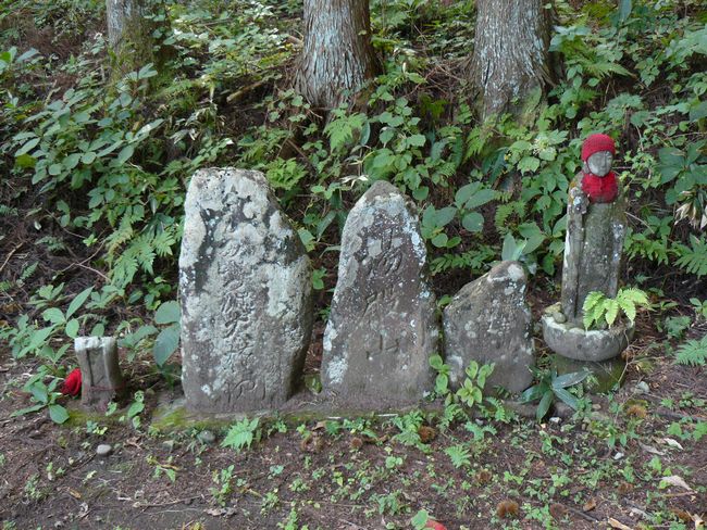 �����_��