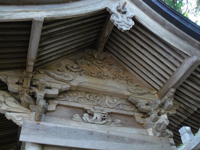 ���_�_��