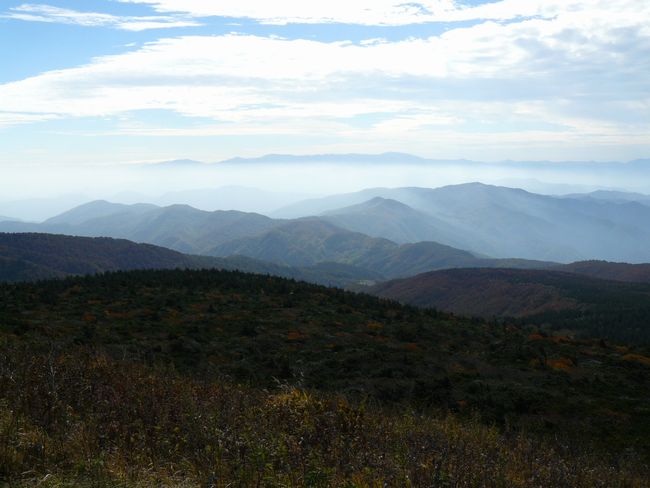 �����A��