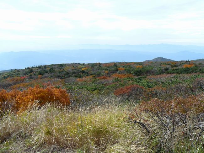 �����A��