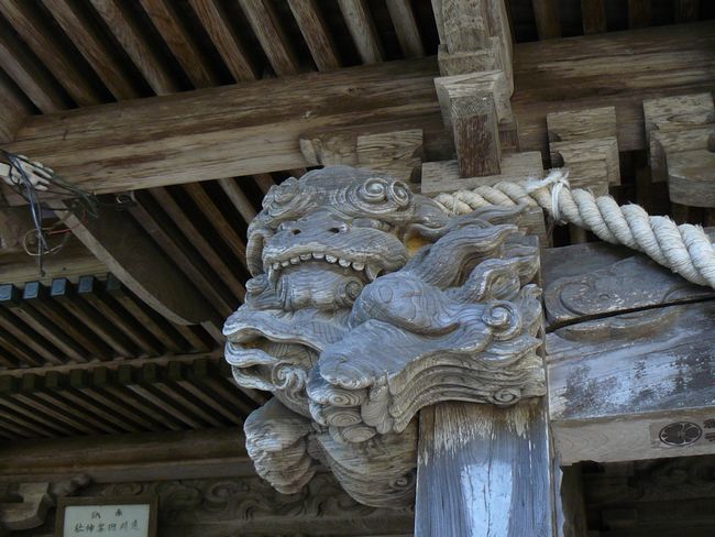 ���c��_��