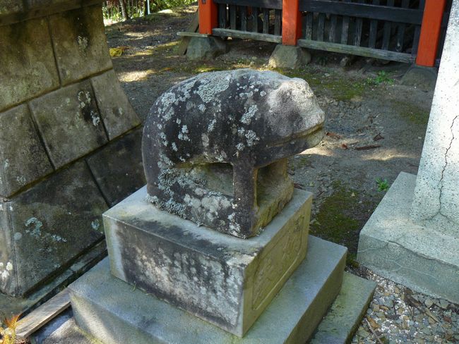 ���c��_��